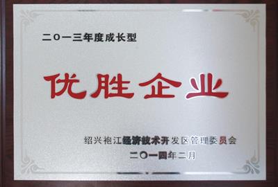 公司连获市、区政府表彰